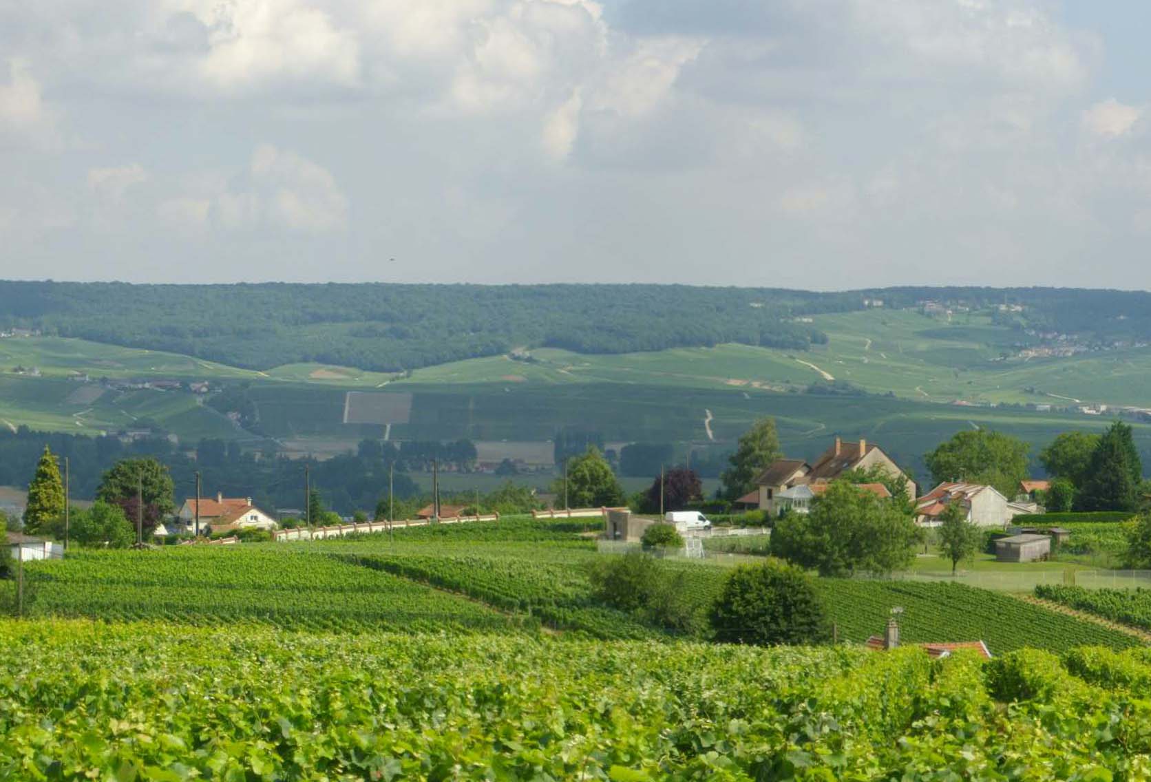 Routage postal et publipostage dans la Marne 51 - Champagne