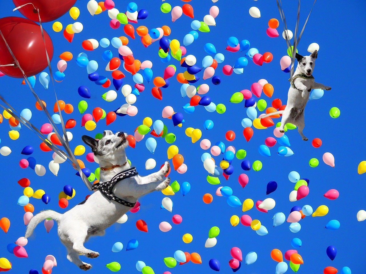 Quelle action marketing choisir pour relancer son activité ?